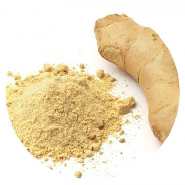 ZENZERO RIZOMA POLVERE PACCO 1 KG